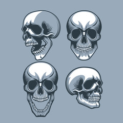 A set of four skulls looking in different directions. .Monochrome tattoo style.