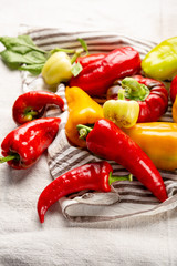 Fresh paprika harvest