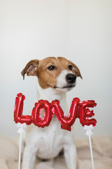 Woman and her dog celebrating San valentin