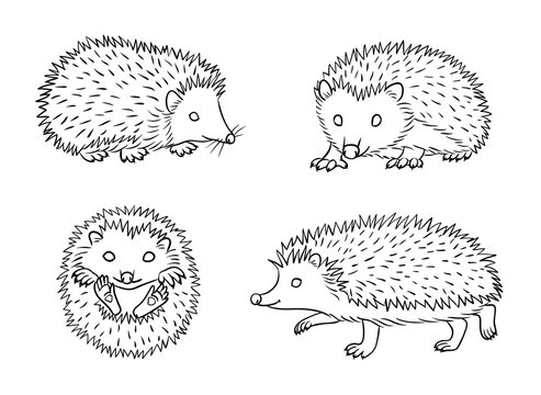 Cute hedgehogs in contours - vector illustration