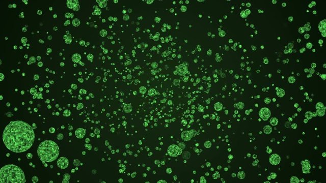 Virus cells