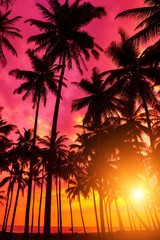 Fototapeta na wymiar Tropical sunset on remote island. Beach sunset with coconut palm trees silhouettes and ocean.