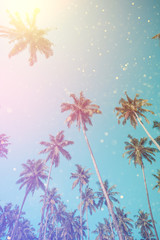 Fototapeta na wymiar Palm tree summer beach sunny day. Coconut palm trees vintage toned with gold glitter bokeh.