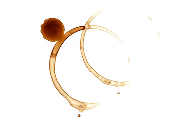 Coffee stain on white background.