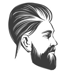 Bearded man in profile, barbershop, hairstyle, haircut, hand drawn vector illustration realistic sketch