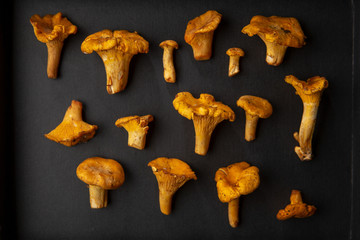 Fresh chanterelles on black