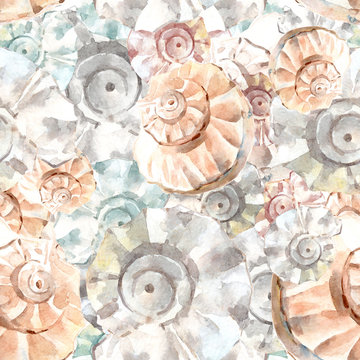 seahells pattern