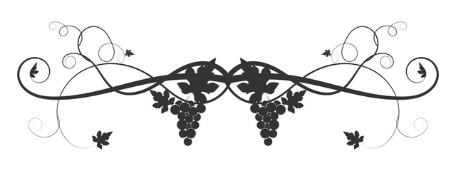 drawn vine grape weaving on a white background © antondzyna