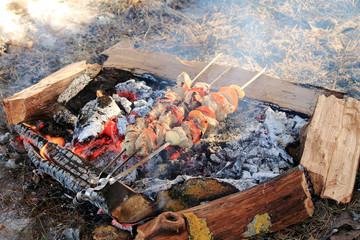 shish kebab on a fire