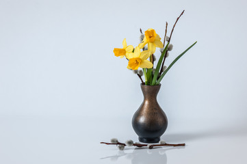 Easter background. Spring background with yellow daffodils and willow branches in vase. Mother's Day greeting card. Copy space..