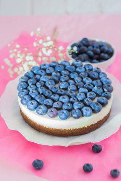 veganer Quarkkuchen mit Schokoboden mit veganem Walnuss-Frischk&auml;se, Vanillemark und frischen Fr&uuml;chten, Heidelbeeren, Erdbeeren und Kiwi