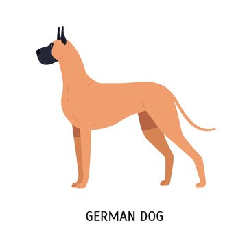 Great Dane or German Mastiff