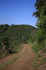 road in forest