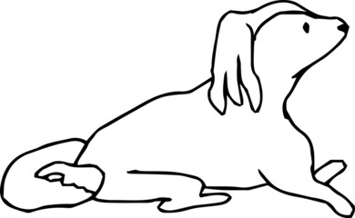 Poor hand-painted cute dog illustration outline