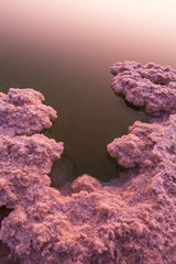 salt crystals, Dead sea, Israel
