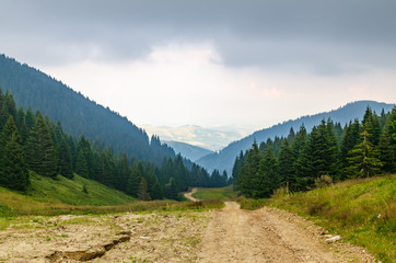 Fototapeta na wymiar Natural road winding through hills on Kopaonik mountain, Serbia