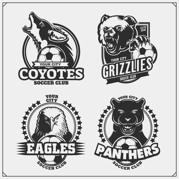 Set of vector football and soccer badges, labels and design elements. Sport club emblems with grizzly bear, panther, coyote and eagle. Print design for t-shirts.