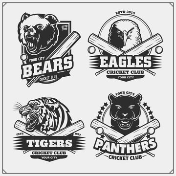 Set of cricket badges, labels and design elements. Sport club emblems with grizzly bear, panther, coyote and eagle. Print design for t-shirts.