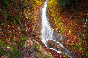 waterfall in the forest