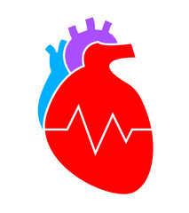 Human heart with heartbeat icon design. flat style. Vector illustration isolated on white background.