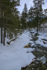 river in winter
