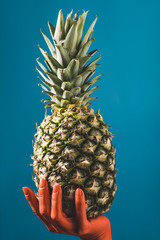 partial view of color colored female hand holding ripe pineapple fruit on blue background, color of...