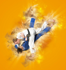 The two judokas fighters fighting man