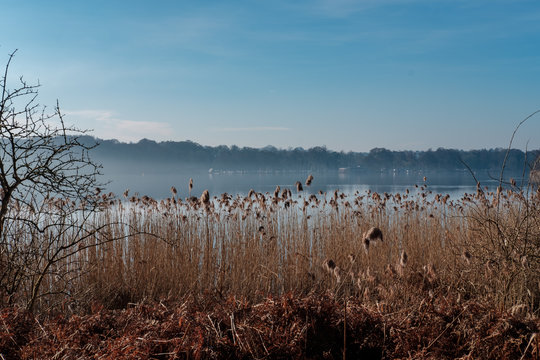 Frensham Great Pond 