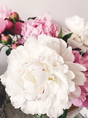 Fototapeta na wymiar Beautiful big white peony and pink peonies in vase on stylish nightstand. Hello spring. Happy Mothers day