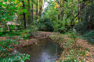 Fototapeta na wymiar Silver Creek running through Beechworth in Victoria, Australia.