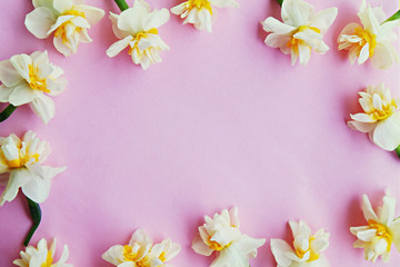 Yellow white daffodil, narcissus, jonquil flower close up on bright yellow background with a lot of copy space for text. Blank template for Mother's day, March 8 women's day, Valentine greeting card