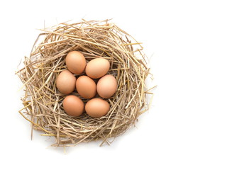 Top view of brown eggs in a nest on a white background, image with copy space.