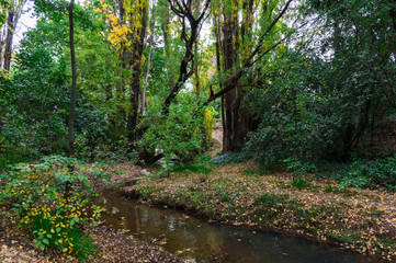 Silver Creek running through Beechworth in Victoria, Australia.