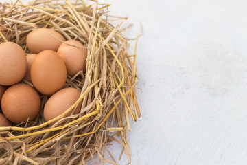 Fresh chicken egg in a nest on a white wooden table, image with copy space.