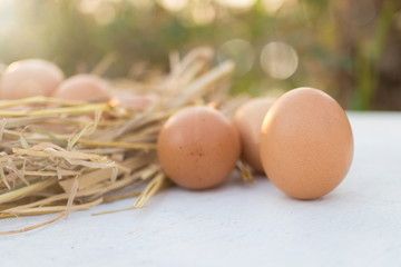 Fresh brown eggs in a nest on a wooden in chicken farm with morning sunlight, image with copy space.