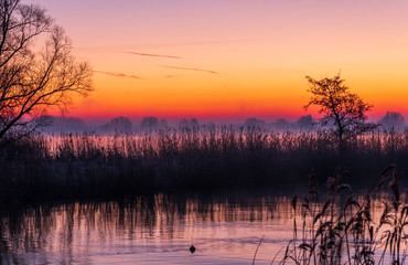 Orange sunset at the river