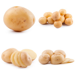 Collection of potato isolated on white background