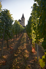 Fototapeta na wymiar Beautiful landscapes of French vine yards in summer sunshine with grapes and old churches