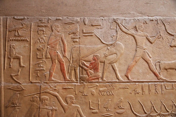 Egypt Saqqara Tombs Pyramid Pharaoh