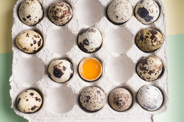 Quail eggs in random order with yolk in cardboard packaging..Vegetarian eco organic food