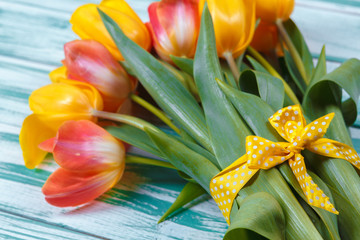 Tulips on blue wood background.Image of spring flower.