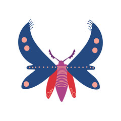 Flying Insect, Colorful Butterfly Top View Vector Illustration