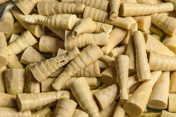 Bamboo Shoots