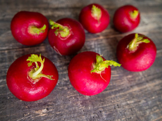 Juicy fresh radishes