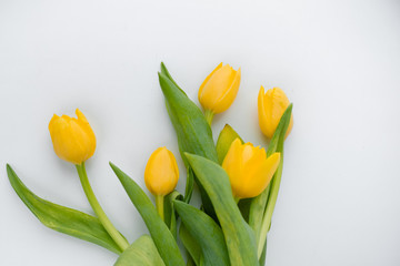 Obraz premium A bouquet of fresh, beautiful tulips arranged on white, isolated background copy space