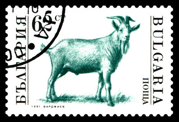 Vintage postage stamp. Goat.