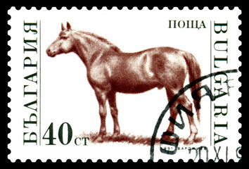 Vintage postage stamp. Horse.