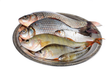 Fresh fish (Scardinius erythrophthalmus,carassius) on a  plate,on an isolated white background