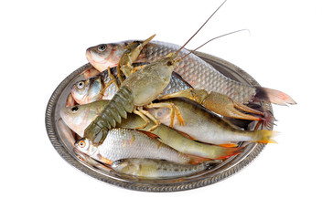 Fresh lobster ,Fresh fish (Scardinius erythrophthalmus,carassius) on a  plate,on an isolated white background