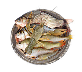 Fresh lobster ,Fresh fish (Scardinius erythrophthalmus,carassius) on a  plate,on an isolated white background